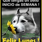 lunes