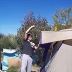 Armando la Carpa