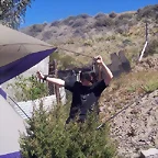 Armando la Carpa