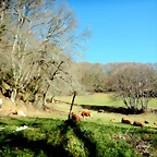 DSCN3634