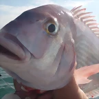 SALMONASSSSO 102 [HDTV (1080)]