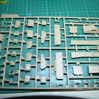 DSCN3607