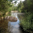 DSCN5353