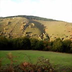 DSCN8466