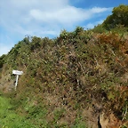 DSCN8675
