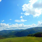 DSCN4905