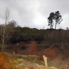 DSCN0329