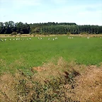 DSCN6700