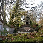 DSCN7229