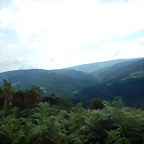 DSCN4413