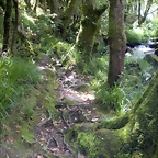 DSCN2796