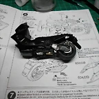 DSCN5466