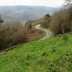 37-IMG_4540