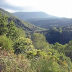 DSCN4289