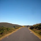 DSCN6540