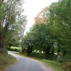 DSCN5814