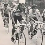 GIRO 1981-SARONNI-CONTINI-P.MUOZ