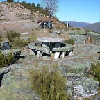 DSCN7981