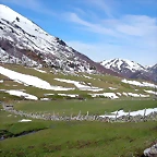 DSCN8710