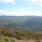 DSCN9003