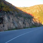 DSCN6524
