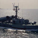 komar (3)