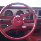 IMAG0533