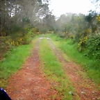 DSCN4200