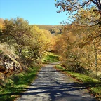 DSCN9110