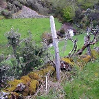 DSCN9092