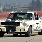 Ford Shelby Mustang Trans-Am 01