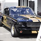 Ford Shelby Mustang Trans-Am 02