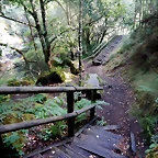 DSCN8473