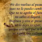 imagenes-con-frases-bonitas