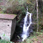 DSCN6317