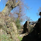 DSCN7942