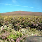 DSCN5107
