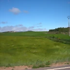 DSCN7387