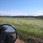 DSCN7385