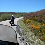 DSCN1781