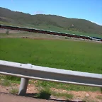 DSCN7334