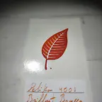 pelika_4001-brillant_brown