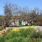 cortijo de julio