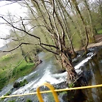 DSCN3481