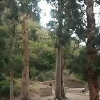 Castillo Serra 034
