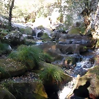 DSCN8027