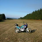 DSCN7981