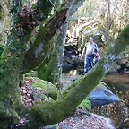 DSCN8054