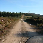 DSCN7982