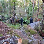 DSCN8034